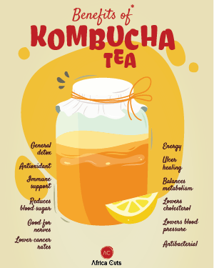 Kombucha - Naturally Delicious - Naturally Fizzy