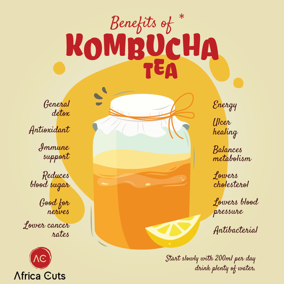 Kombucha Tea | Good for the gut